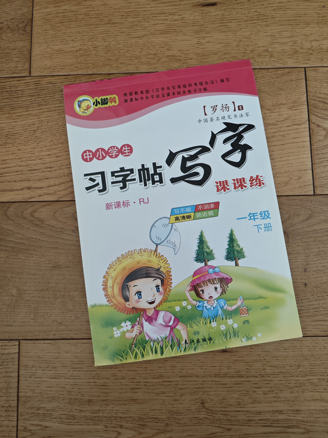又给孩子补了一些练字帖