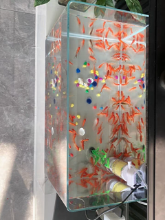  超清玻璃热弯鱼缸：打造您的私人海底世界