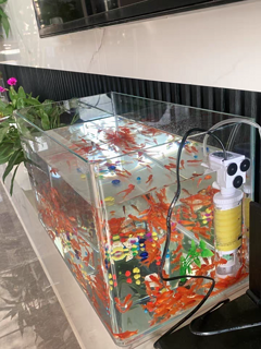 超清玻璃热弯鱼缸：打造您的私人海底世界
