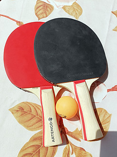 乒乓球，让我们一起感受小球运动的魅力