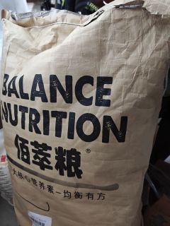 又买狗粮了