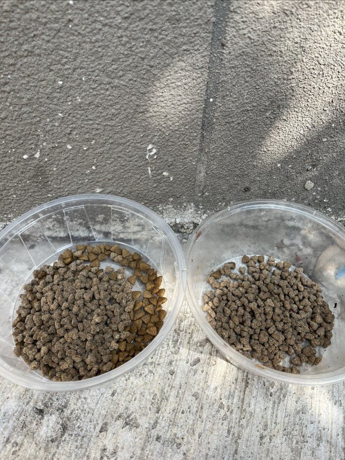 艾尔猫咪干粮