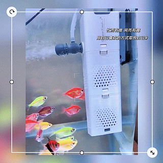 森森 小鲤过滤器XQP-500F款