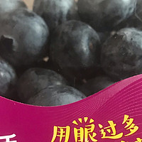 蓝莓蓝莓我爱你，眼睛明亮就靠你。