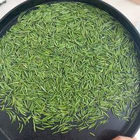 吴家世茶2024年新茶上市,雀舌茶叶“清香犹存”!