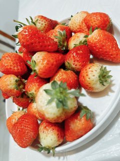 9.9一斤的草莓🍓