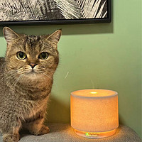 香薰灯简直是助眠神器，猫猫也喜欢