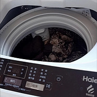 ￼￼海尔（Haier）波轮洗衣机全自动小型 8公斤大容量 筒自洁不脏桶立体蝶型水流 宿舍租房神器原厂品质￼￼