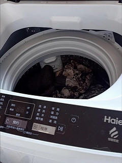 ￼￼海尔（Haier）波轮洗衣机全自动小型 8公斤大容量 筒自洁不脏桶立体蝶型水流 宿舍租房神器原厂品质￼￼