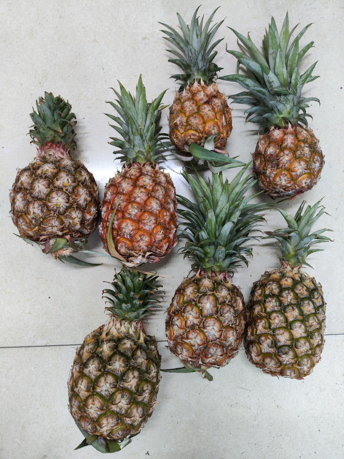 果农侠新鲜水果