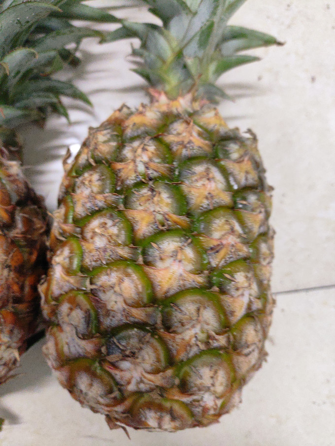 果农侠新鲜水果