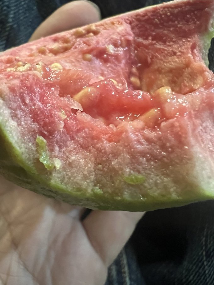 晓筱农场新鲜水果