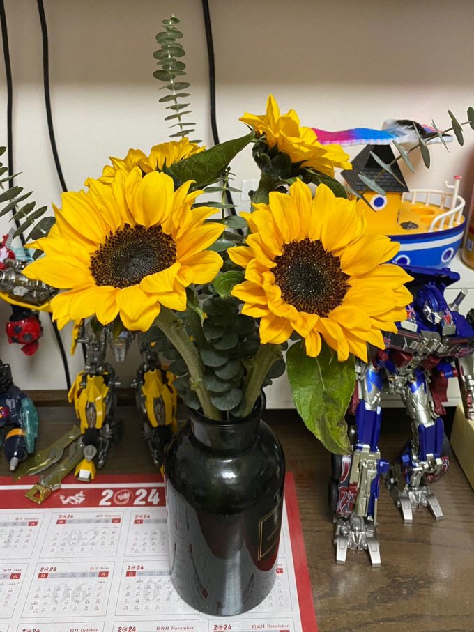 西子悦鲜花绿植