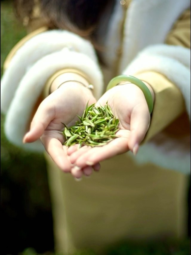 峡州茗品，夷陵早茶