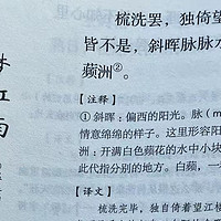 宋词三百首之温庭筠的《梦江南·梳洗罢》