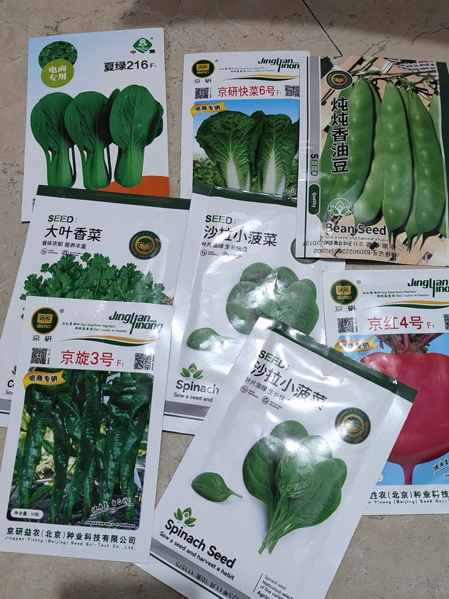 每天白嫖蔬菜种子