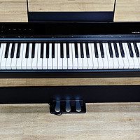 音乐和乐器 篇三十八：美得理SP-C120电钢琴评测，附演奏试听