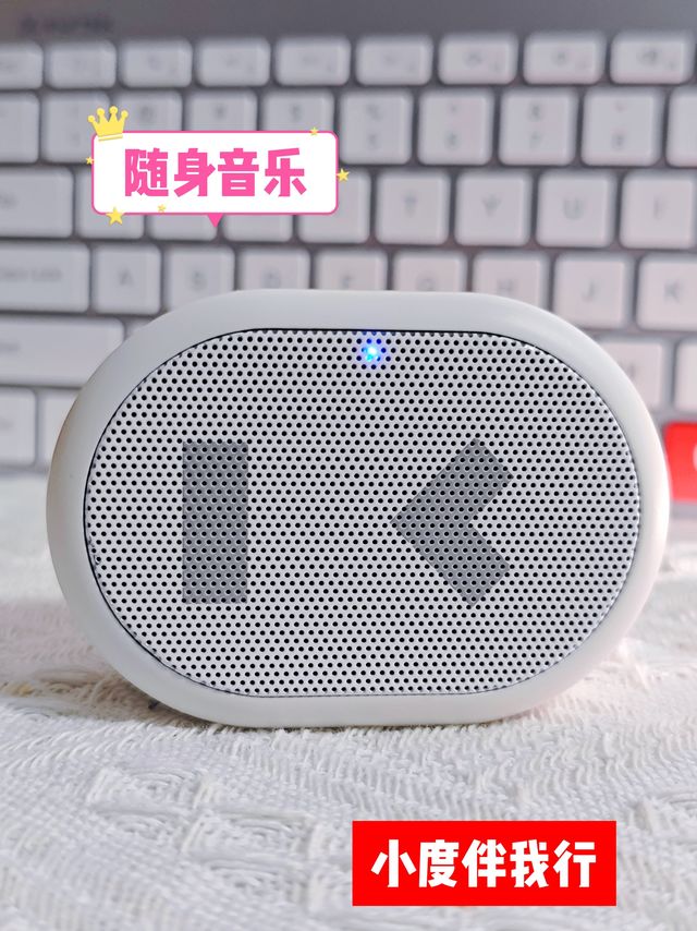🎵🎵随身音乐，小度伴我行！神秘小物，你get了吗？