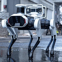 联想公布 Daystar Bot GS 机器狗方案，六条腿更稳定、机动性更好