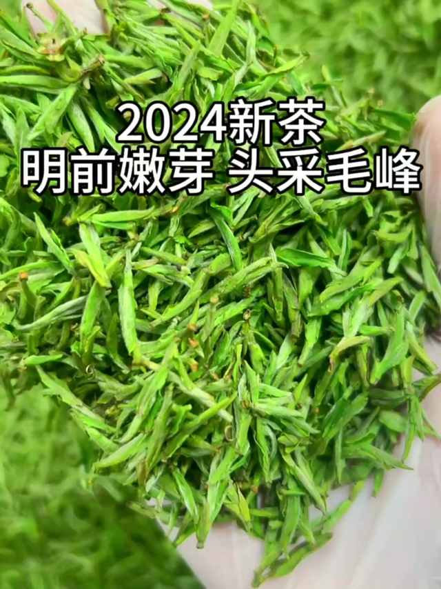 2024年毛峰头采新茶,鲜爽甘醇,一口“鲜”入魂!