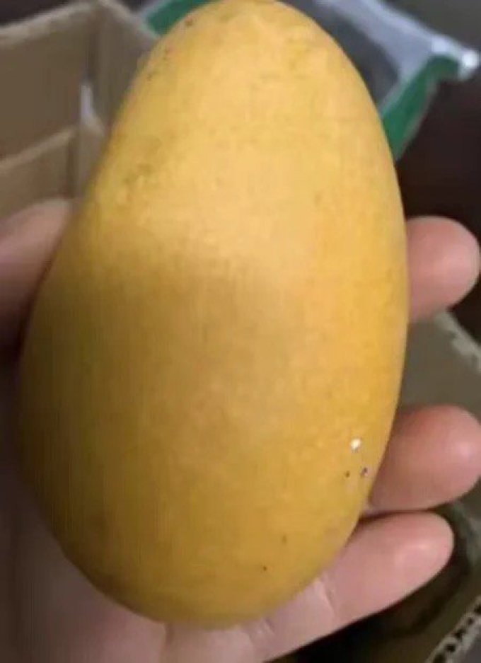 鸿铭典芒果