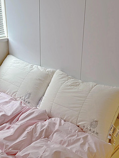 2蚕丝枕头高档枕头芯一对全棉家用枕芯护颈助眠单人防螨不变形