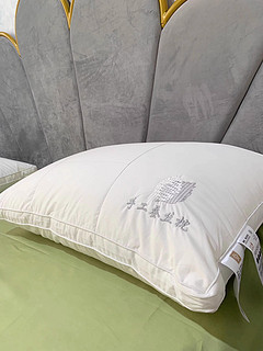1蚕丝枕头高档枕头芯一对全棉家用枕芯护颈助眠单人防螨不变形