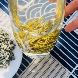 碧螺春绿茶