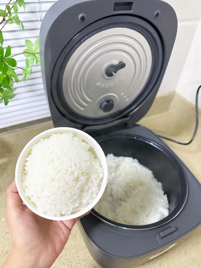 九阳电饭煲