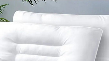 如何拥有高质量睡眠？试试这款富安娜家纺枕头芯！