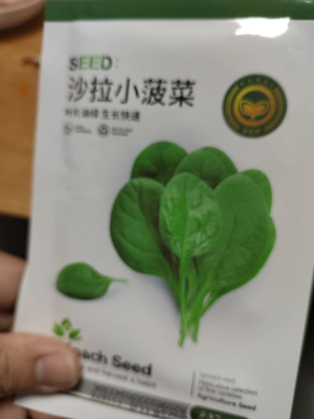 阳台蔬菜党