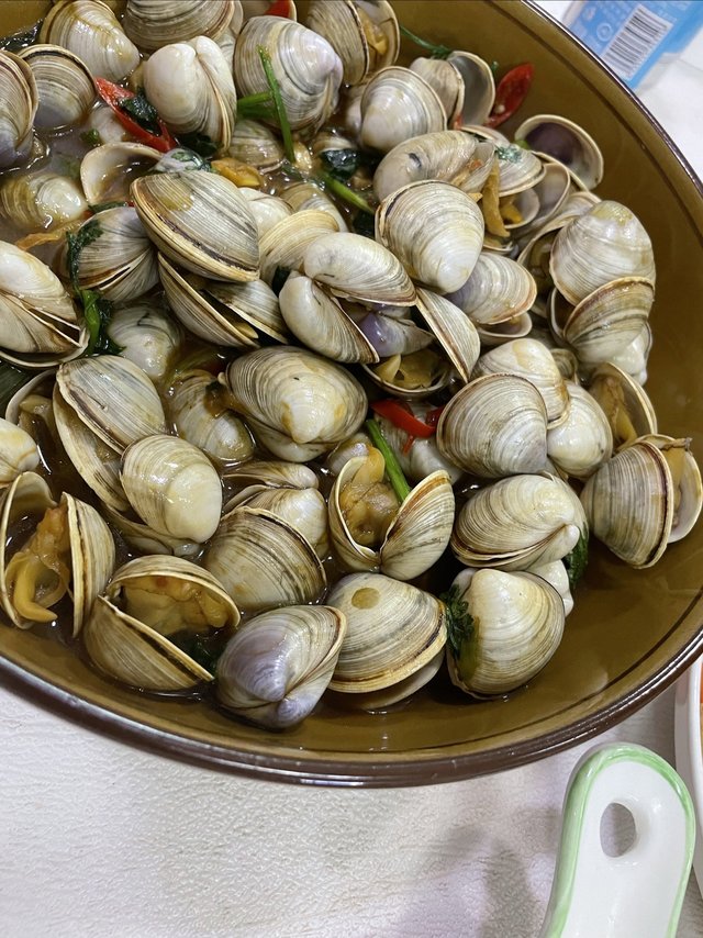 花蛤明明小，为什么还卖的贵？这种蛤你们都是怎么吃？