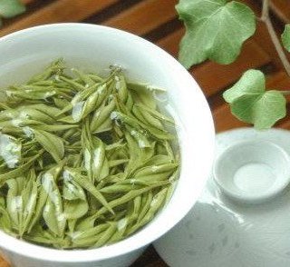 安吉白茶带你感受春的气息！