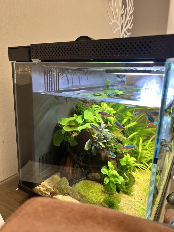 小米智能鱼缸/水族箱