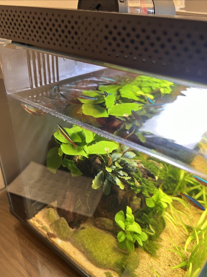 小米智能鱼缸/水族箱