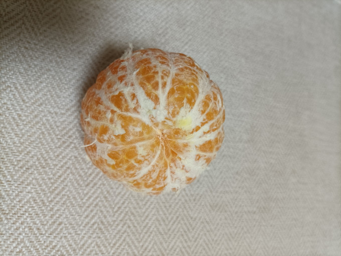 橘/桔