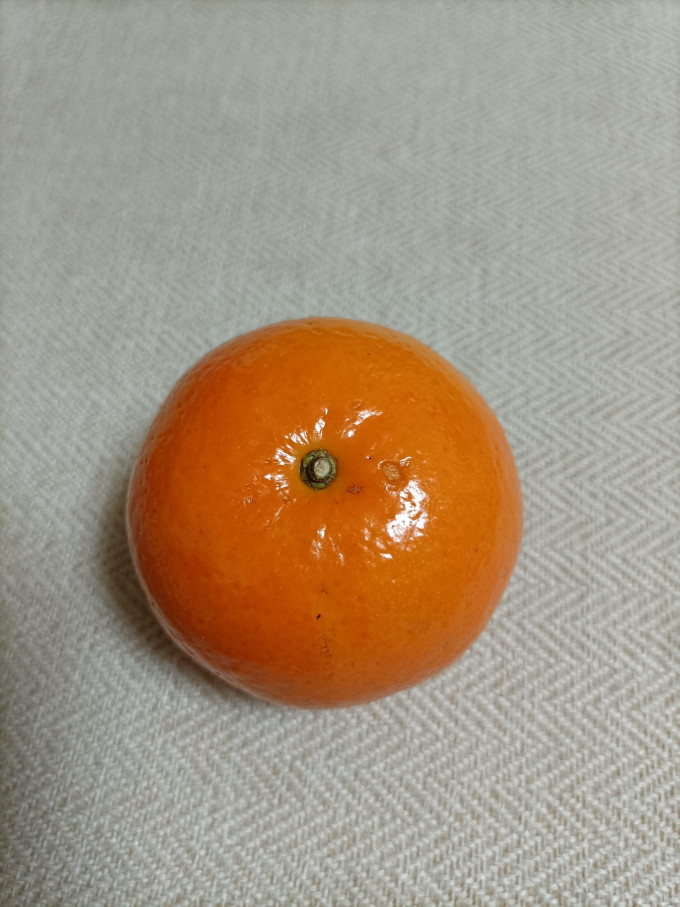 橘/桔