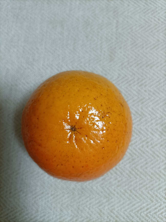 橘/桔