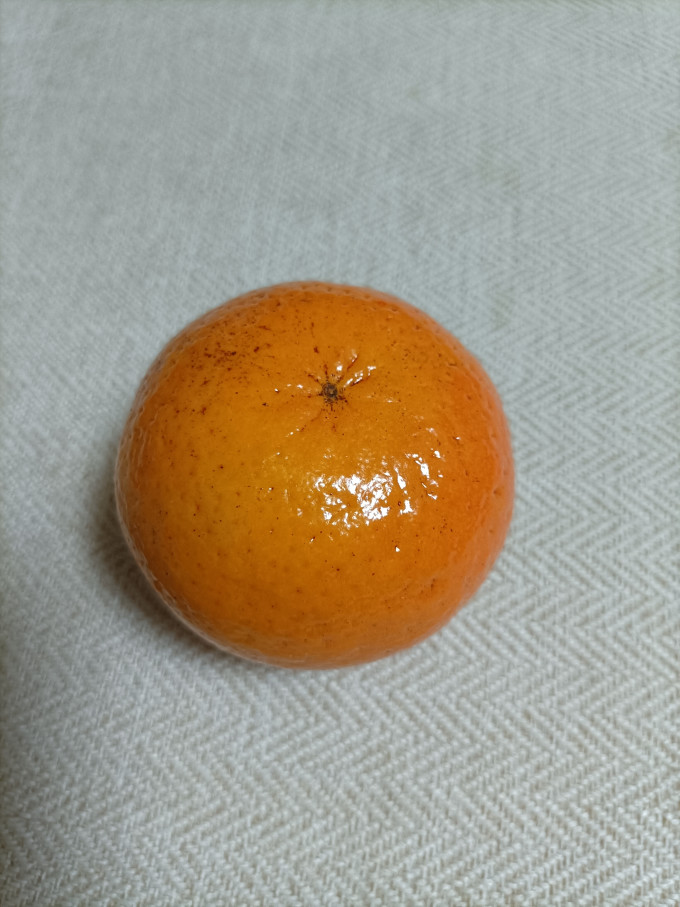 橘/桔