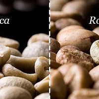 走进咖门 篇一：两大主流的咖啡豆品种：Arabica（阿拉比卡） VS Robusita（罗布斯塔）