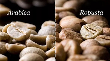 走进咖门 篇一：两大主流的咖啡豆品种：Arabica（阿拉比卡） VS Robusita（罗布斯塔） 