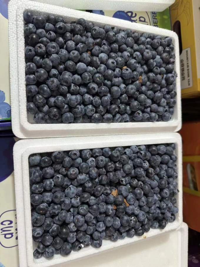 京鲜生新鲜水果