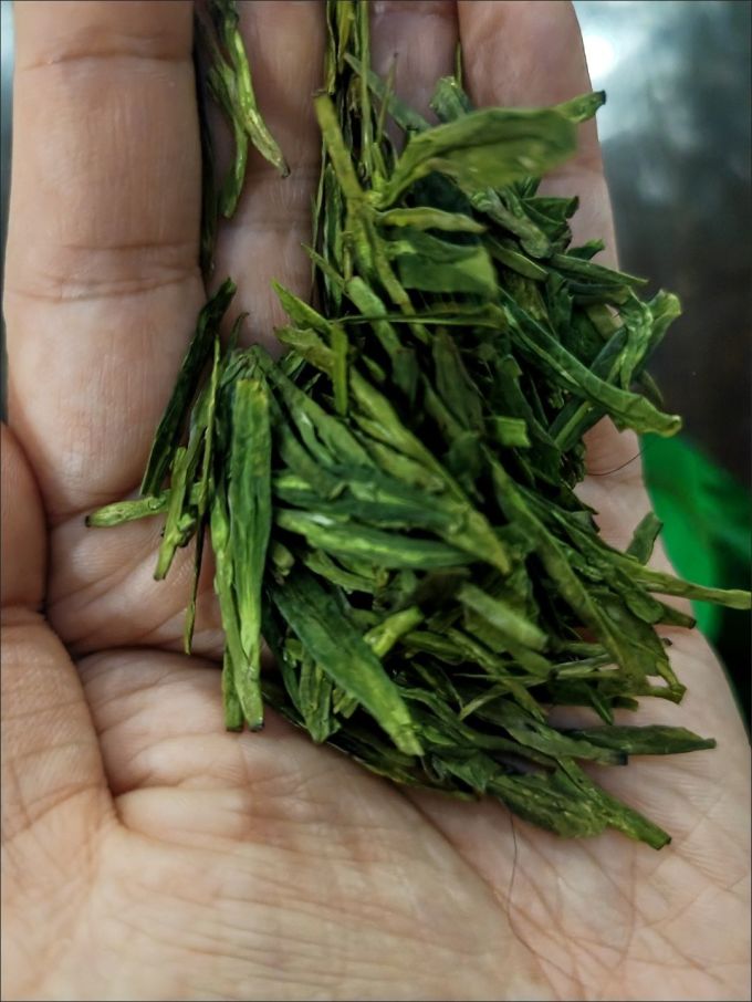 骏江南茶类