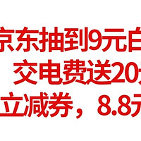 快快，京东抽到9元白条红包，实测，交电费送20元E卡，3元白条立减券，小金库8.8元支付券。