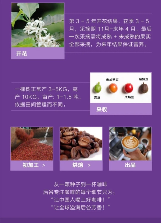 后谷咖啡咖啡