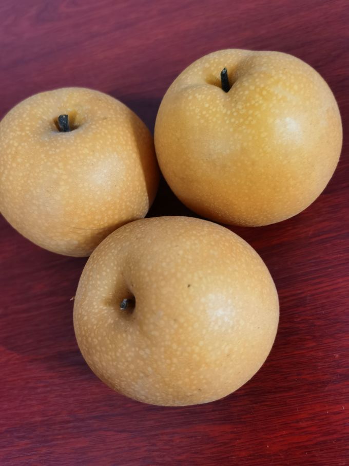 其他水果