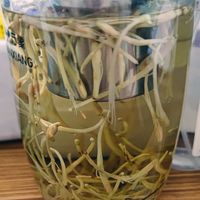 喝金银花茶，健康每一天！