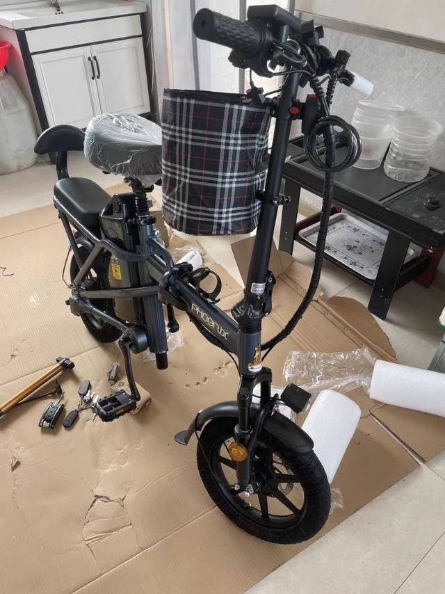 凤凰电动车
