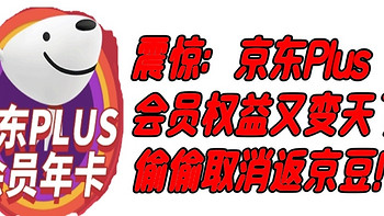 优惠活动 篇六：震惊：京东Plus会员权益又变天了！偷偷给我取消了消费返京豆！ 