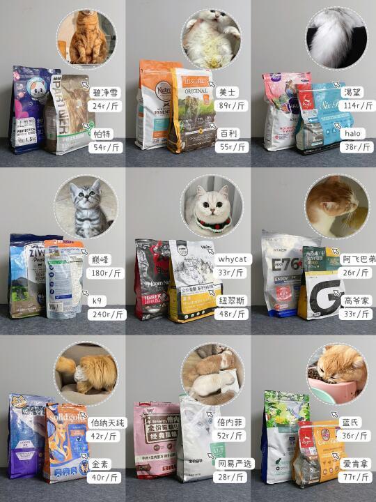不同种猫咪怎么选猫粮！get平价功课不踩雷